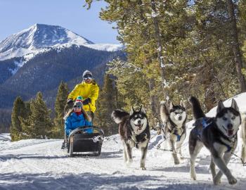 Dog Sledding Winter Season Breckenridge