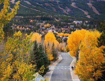 Breckenridge Fall Foliage