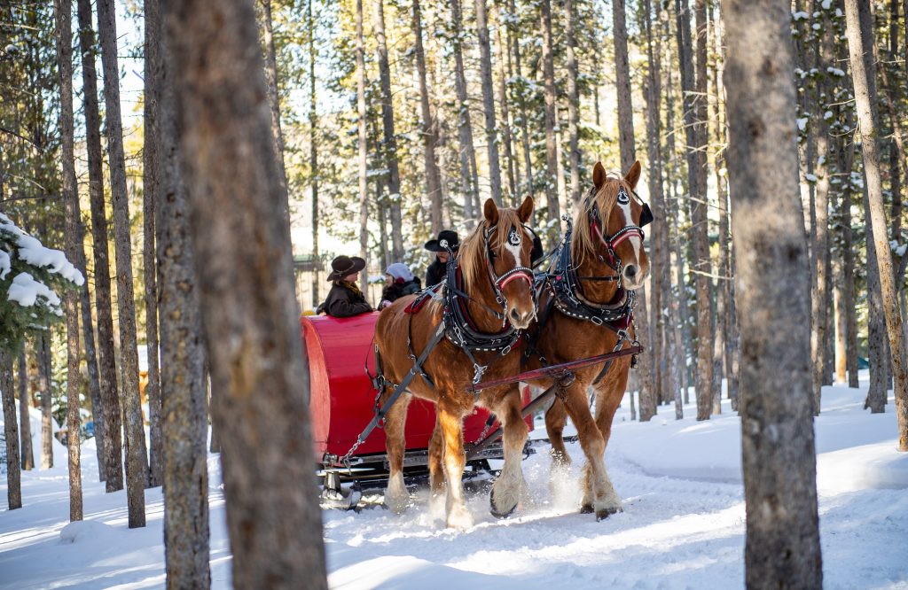 Sleigh Ride Breckenridge Summit County