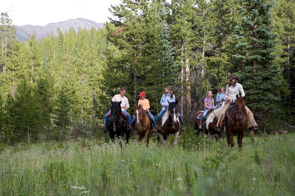 Breckenridge Stables