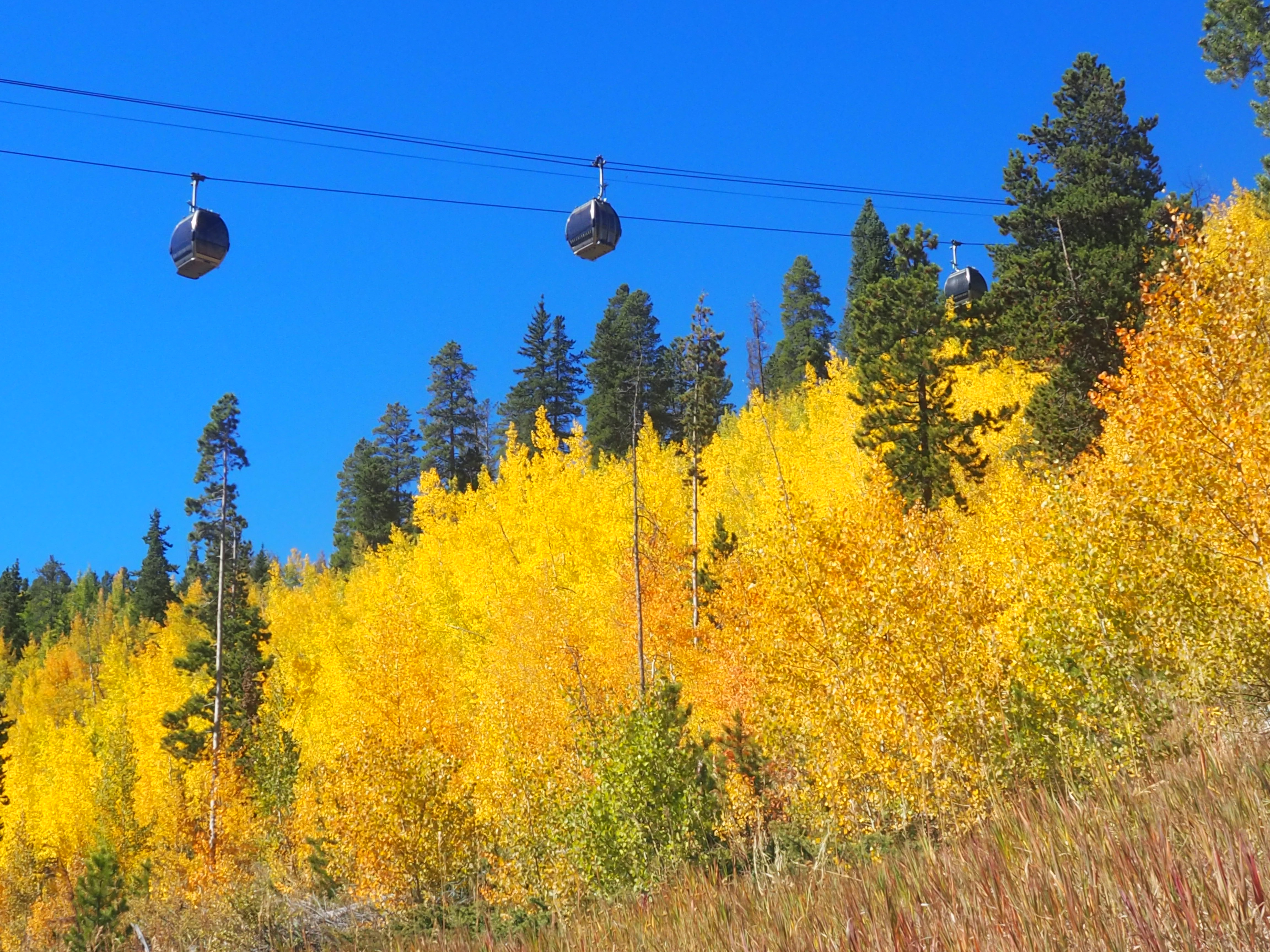 Fall Activities in Summit County Fall Breckenridge, Summit County Fall, Activities