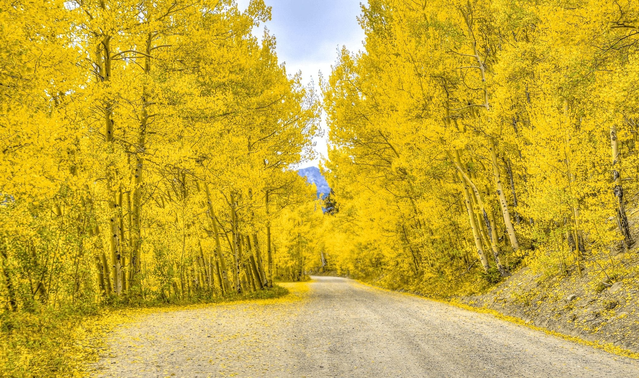 Boreas Pass Breckenridge in the Fall