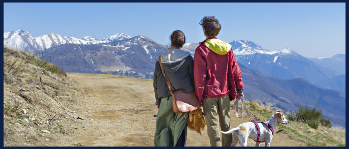 A couple and their dog enjoying a mountain retreat