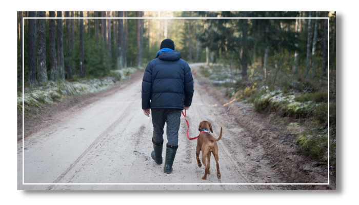 Man with dog walking on trail