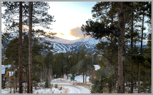 A snowy mountain top between some pines along a snow covered road