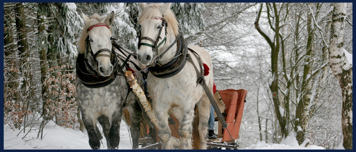 A private winter sleigh ride 