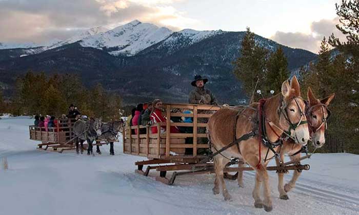 Two Below Zero Sleigh Rides